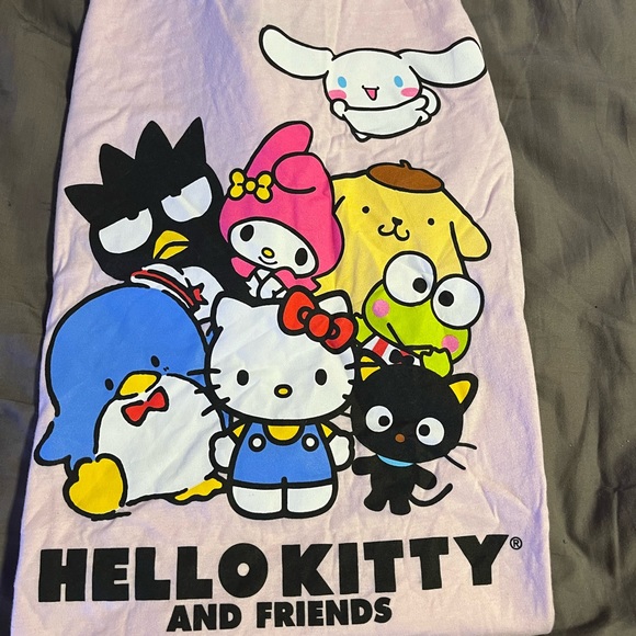 Sanrio Hello Kitty & Friends tee - Picture 1 of 2